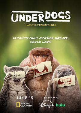 废柴英雄第一季